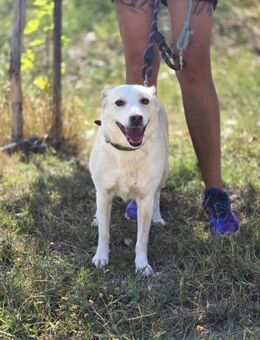 Feinfühlig zart und voller ♥️ = LAURA - München