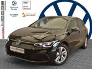 VW Golf, 1.5 TSI VIII Life STNHZ, Jahr 2020 - Ganderkesee