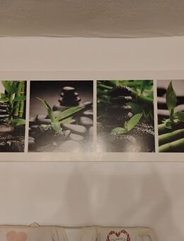 2 echt schöne Wandbilder - Goslar