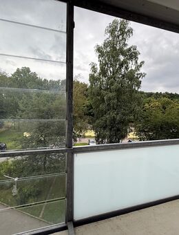 Verglaster Balkon, offene Küche, was will man mehr? - Chemnitz