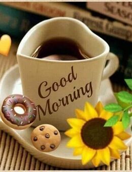 Suche Mann mit Herz! - Görlitz