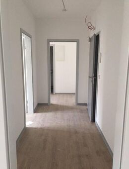 2 Zi. Apartment WE 4.5 ohne Einbauküche kein Balkon - Erfurt
