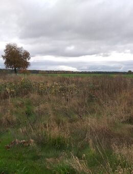 von Privat! 2.270m2 Bau-Grundstück bei Greifswald / Ostsee - Falkensee