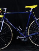 Rennvelo W.PlüSS, 60 cm B25/055 in 5000