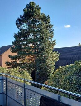 Mitten im Paderborn- Stadtheide: schöne, renovierte 3 Zimmerwohnung mit Außengarage und 2 Kellerräumen! - Paderborn