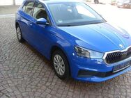 Skoda Fabia Active - Waldheim