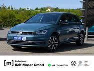 VW Golf, 1.5 TSI VII IQ Drive OPF 110kW, Jahr 2019 - Engen