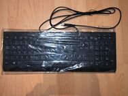 Medion USB Tastatur KB313U - Neu in Folie ungeöffnet Deutsch QWERTZ - Karlsruhe