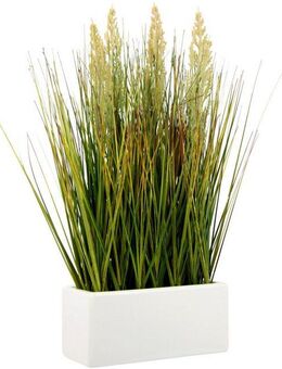 Kunstgras Gras, I.GE.A., Höhe 45 cm, in Keramikschale
