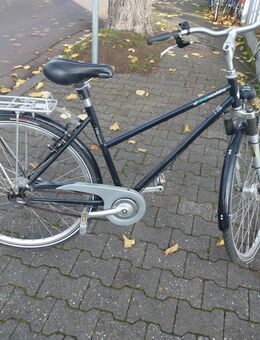 (137) 7 Gang Rücktrittsbremse 28 Zoll Gabel gefedert - Mainz