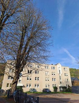 TR-Euren: 3 Zimmer, Küche, Bad Wohnung nur mit Wohnberechtigungsschein! - Trier