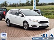 Ford Focus, 92KW, Jahr 2018 - Hettstedt