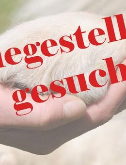 Pflegestellen in ganz Deutschland gesucht - Bonndorf (Schwarzwald)