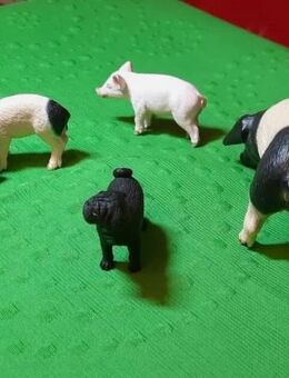 Schleich 3 Schweine, 1 Hund - Bernau (Berlin)