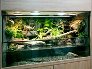 Aqua-Terrarium, Paludarium z. B. für Krokodilschwanzechsen - Hilden