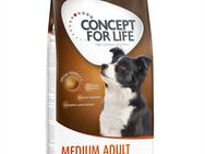 12 kg Concept for Life zum Sonderpreis! - Medium Adult