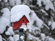 Ihr Haus, Ihr Garten, Ihr neues Zuhause! Schlüsselfertige Häuser von Bien-Zenker! - Hamm