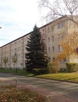 Willkommen im schönen Geiseltal - Braunsbedra