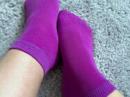 Lila Socken 1 Woche getragen 🌸 - Krefeld