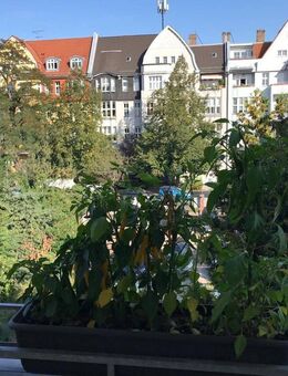 Schöne 2-Zimmer-Wohnung in PANKOW mit Balkon - Berlin