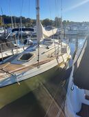 Segelboot SY Rethana 25 in 19055