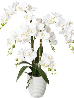Kunstorchidee Deko-Orchidee Phalaenopsis im Keramiktopf Orchidee Phalenopsis, Creativ green, Höhe 67 cm