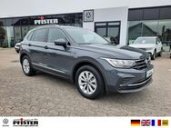 VW Tiguan, 1.5 TSI Life, Jahr 2021 - Neuenburg (Rhein)