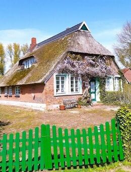 Bezauberndes Reetdachhaus mit Stall und Weide - Nordenham