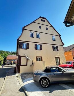 Dragonfly - Heimsheim