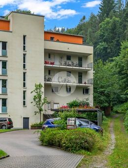 Bezugsfrei: Attraktive 4-Zimmer-Wohnung mit durchdachtem Grundriss in Freiburg-Günterstal - Freiburg (Breisgau)