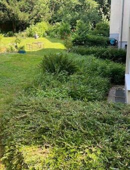 Grüne Oase im Göttinger Ostviertel - Göttingen