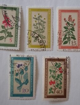 DDR 1960 Blumen & Pflanzen Satz komplett gestempelt - Görlitz