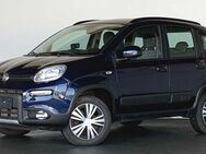 Fiat Panda, 0.9 Twinair Street, Jahr 2021 - Neuensalz