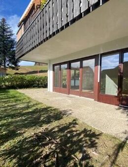 2 Zi Whg mit Terrasse, kl Garten u. Stelpl. - Herrischried