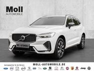 Volvo XC60, Plus Dark B4 Diesel EU6d digitales Sitze HarmanKardon, Jahr 2023 - Bergheim (Nordrhein-Westfalen)