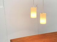 Erco Mid Century Minimalist Pendant Lamp zu Space Age 60er 70er - Hamburg Hamburg-Nord