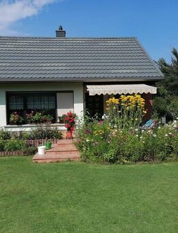 Kleines Schmuckstück mit Stil-liebevoll gepflegtes Einfamilienhaus in Großsteinberg - Naunhof