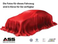 VW Passat, 1.6 TDI Basis EU6d-T, Jahr 2019 - Senftenberg