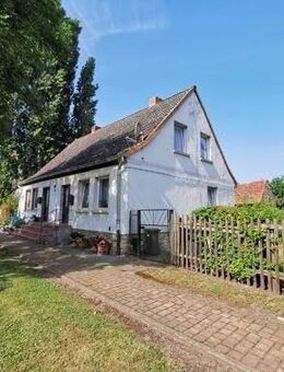 Doppelhaushälfte mit Garten in Neubau Hötensleben - Hötensleben