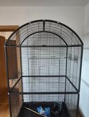 Vogelvoliere in 08141