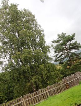 Gartenhaus mit ruhigem Garten zum Wohlfühlen - Wasungen