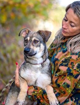 Delia,❤️ Schutzgebühr 500 - Burgsinn