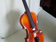 Violinen 4/4, 2 Stück, Haushaltsauflösung, wie neu - Blankenhain