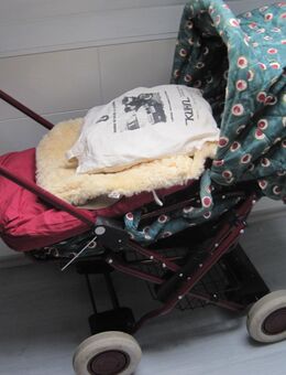 Teutonia Retro Kinderwagen viel Zubehör - Uhingen