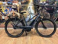 E-Bike Elektro Fahrrad Batavus Bosch Mittelmotor Trapez 500Wh NEU!!! - Goch