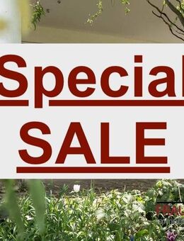SCHÄTZELE MARKT SPECIAL - Traumhaus in Tengen - - Tengen
