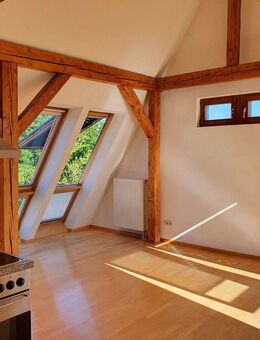 Wohnjuwel für Single oder Paare im Freiburger Holbeinviertel - Freiburg (Breisgau)