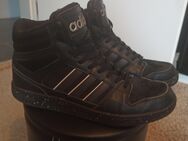 Sneaker, Adidas Hoops - Bernau (Berlin)