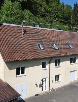 Tolles Zuhause und viele Möglichkeiten, großes Grundstück . Einliegerwohnung . 3 Garagen - Sigmaringen