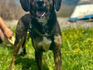liebevoller Gunnar sucht Familie - Berlin